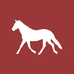 reitlager